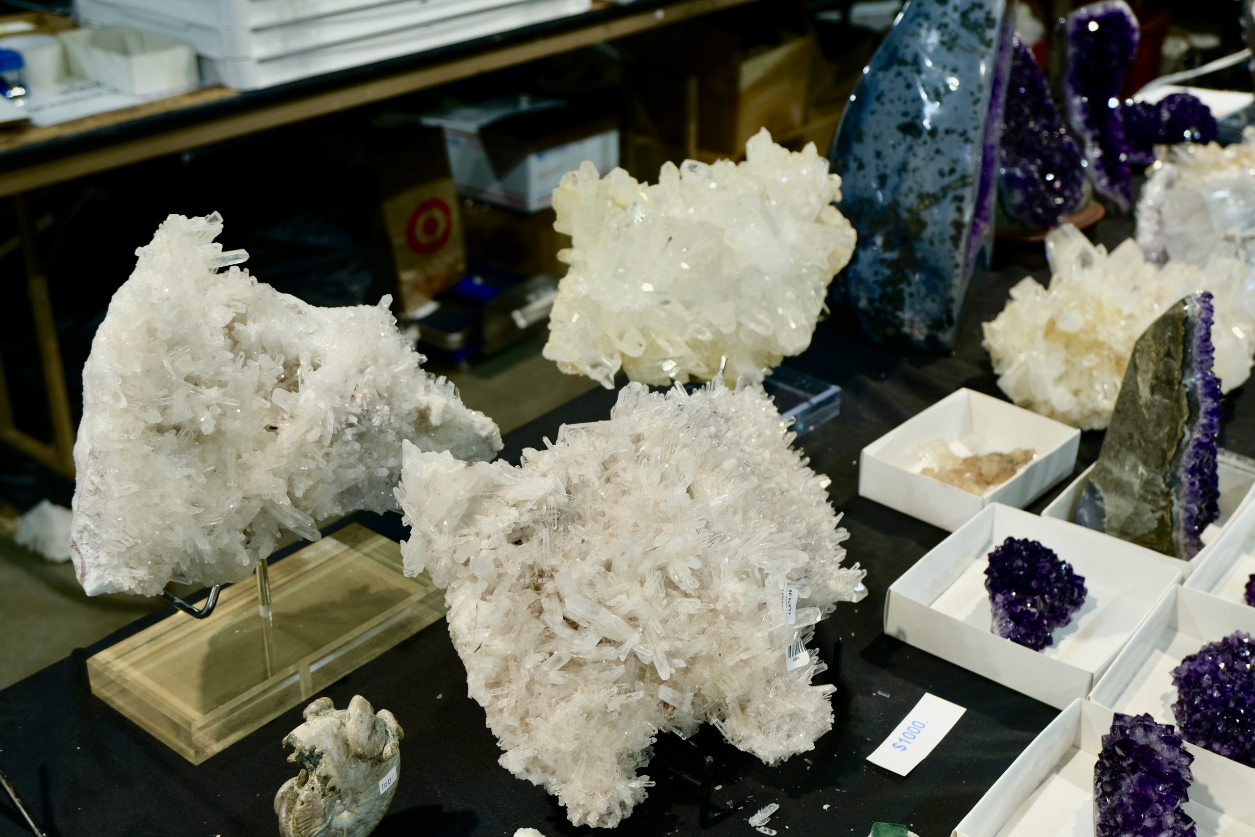 Denver coliseum minerals fossils jewelry gems show