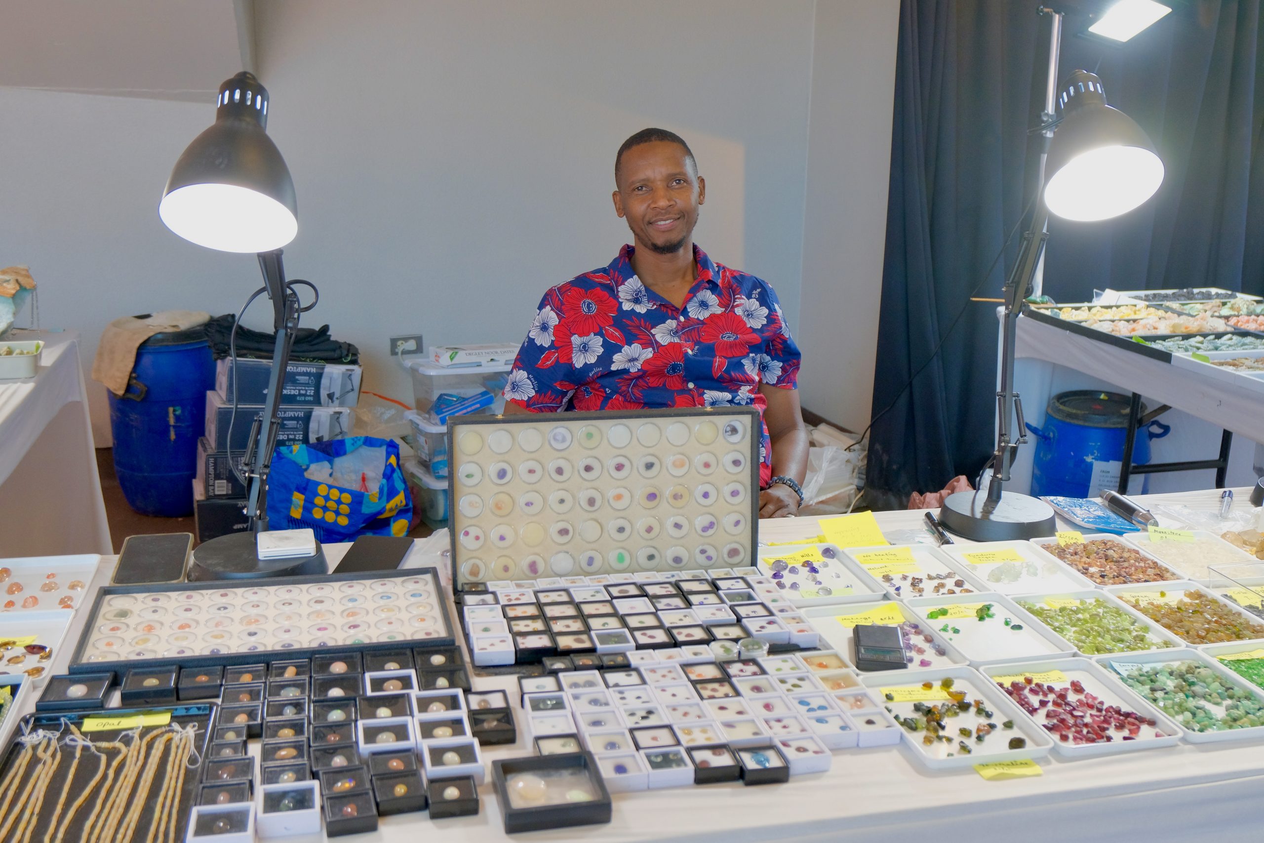 Denver coliseum minerals fossils jewelry gems show