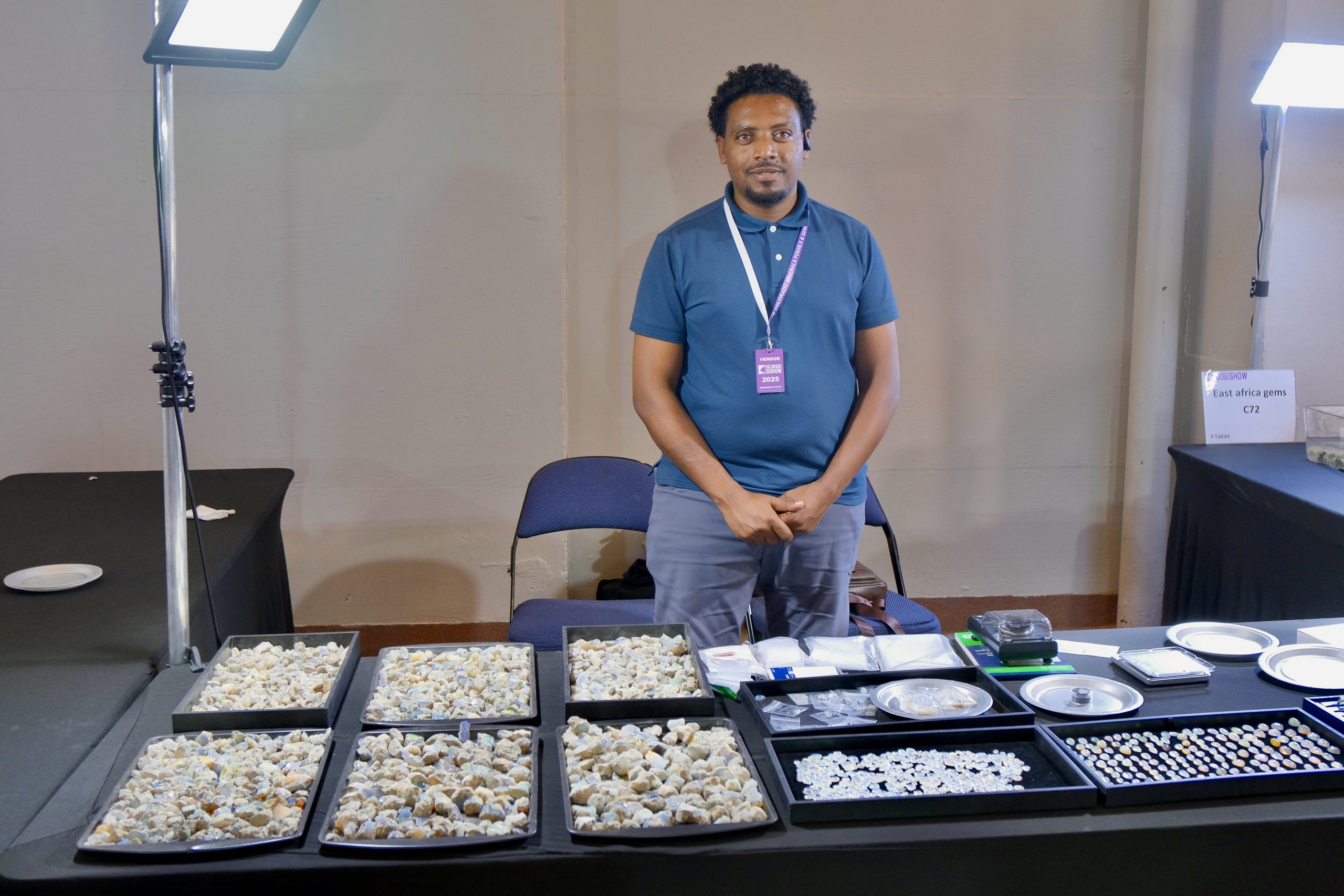 Denver coliseum minerals fossils jewelry gems show