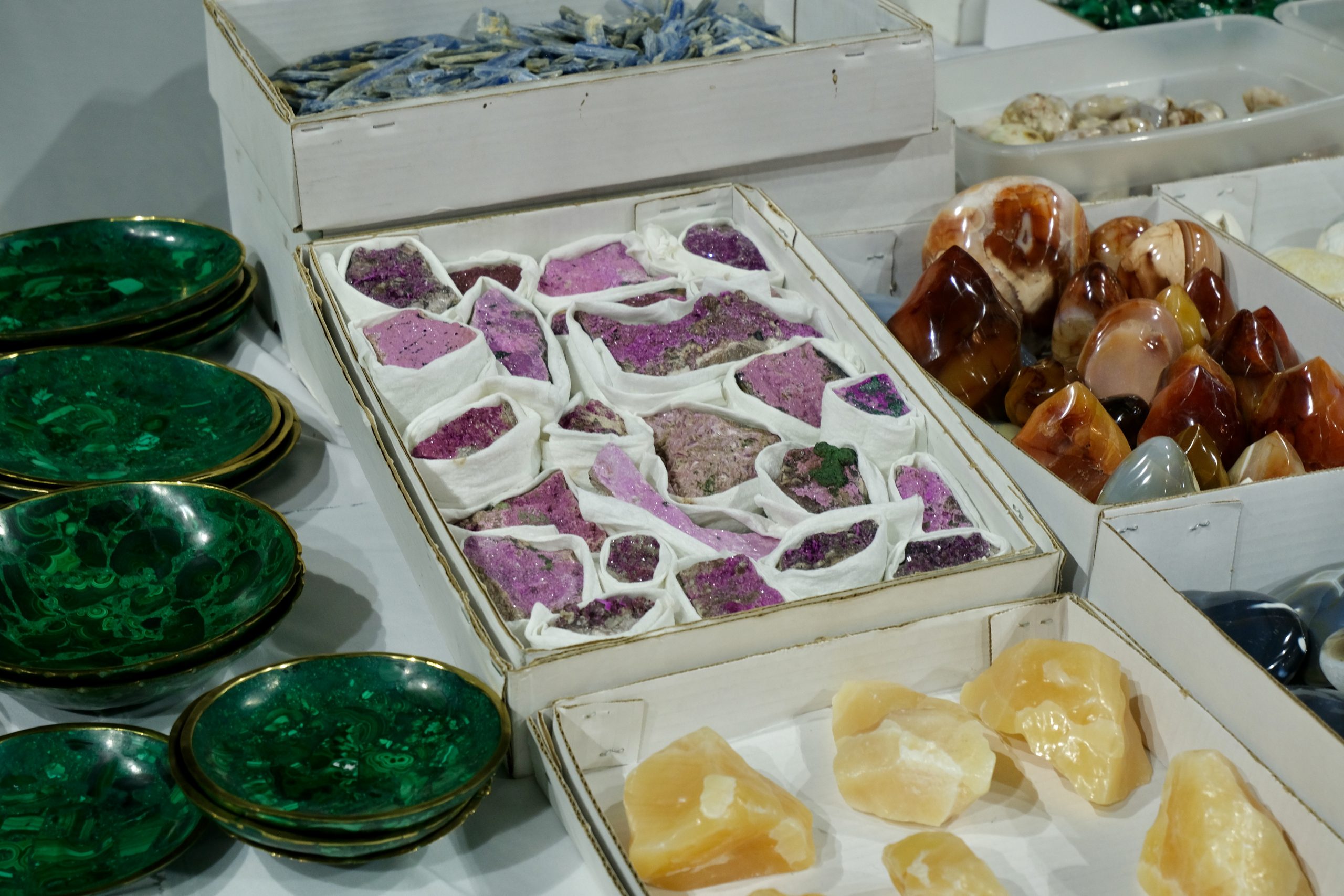 Denver coliseum minerals fossils jewelry gems show
