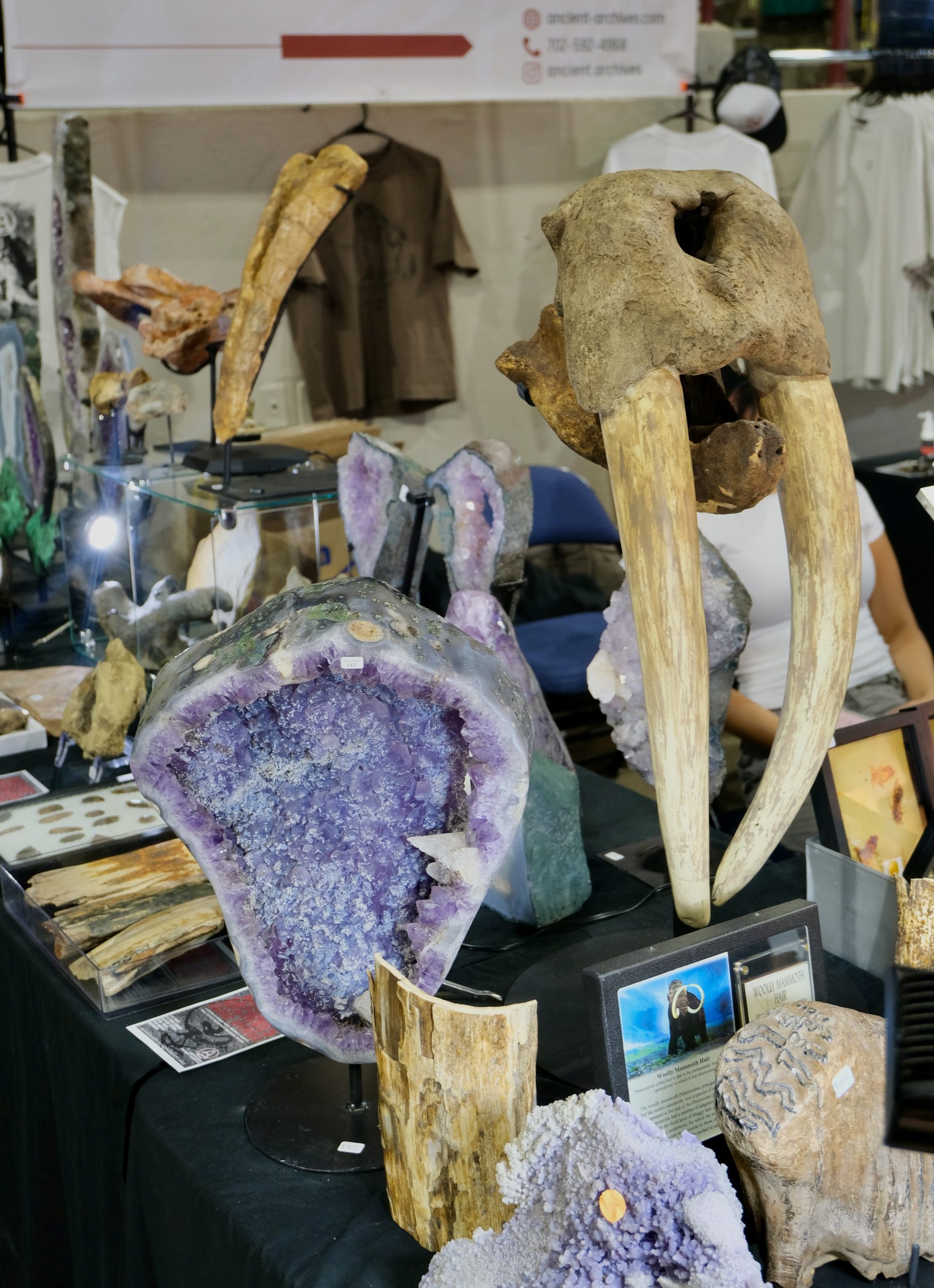 Denver coliseum minerals fossils jewelry gems show