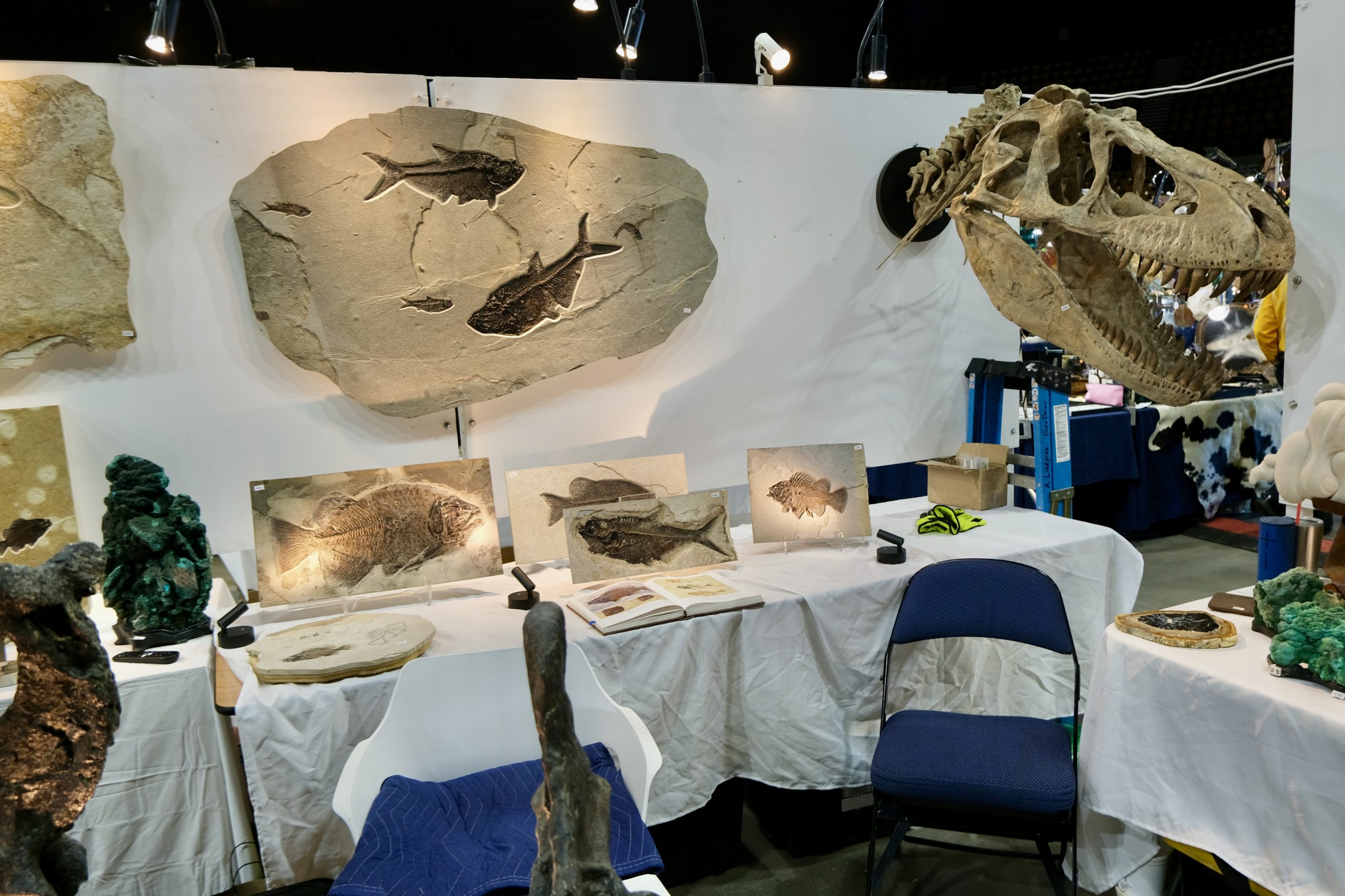 Denver coliseum minerals fossils jewelry gems show