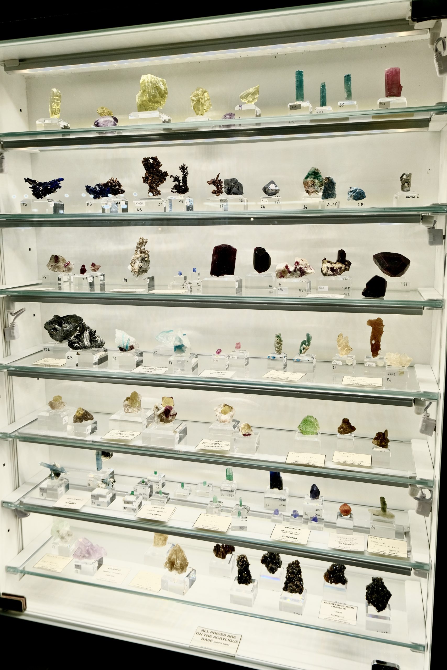 Denver coliseum minerals fossils jewelry gems show