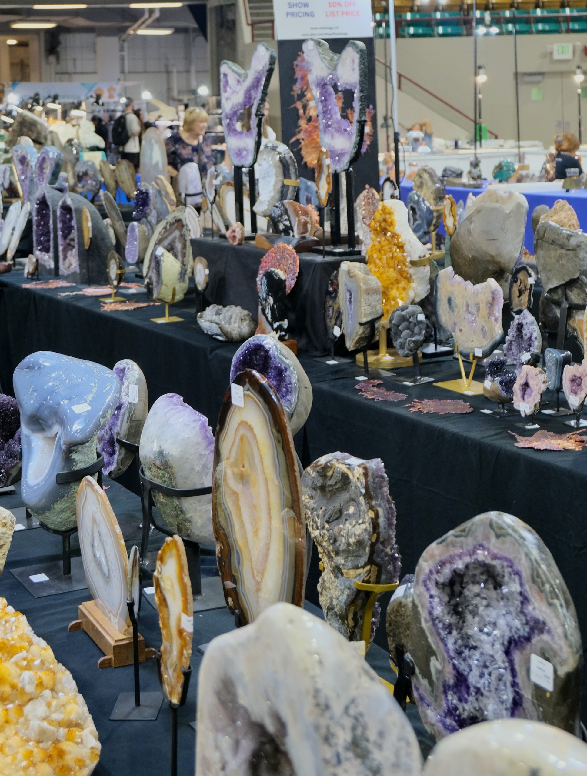 Denver coliseum minerals fossils jewelry gems show