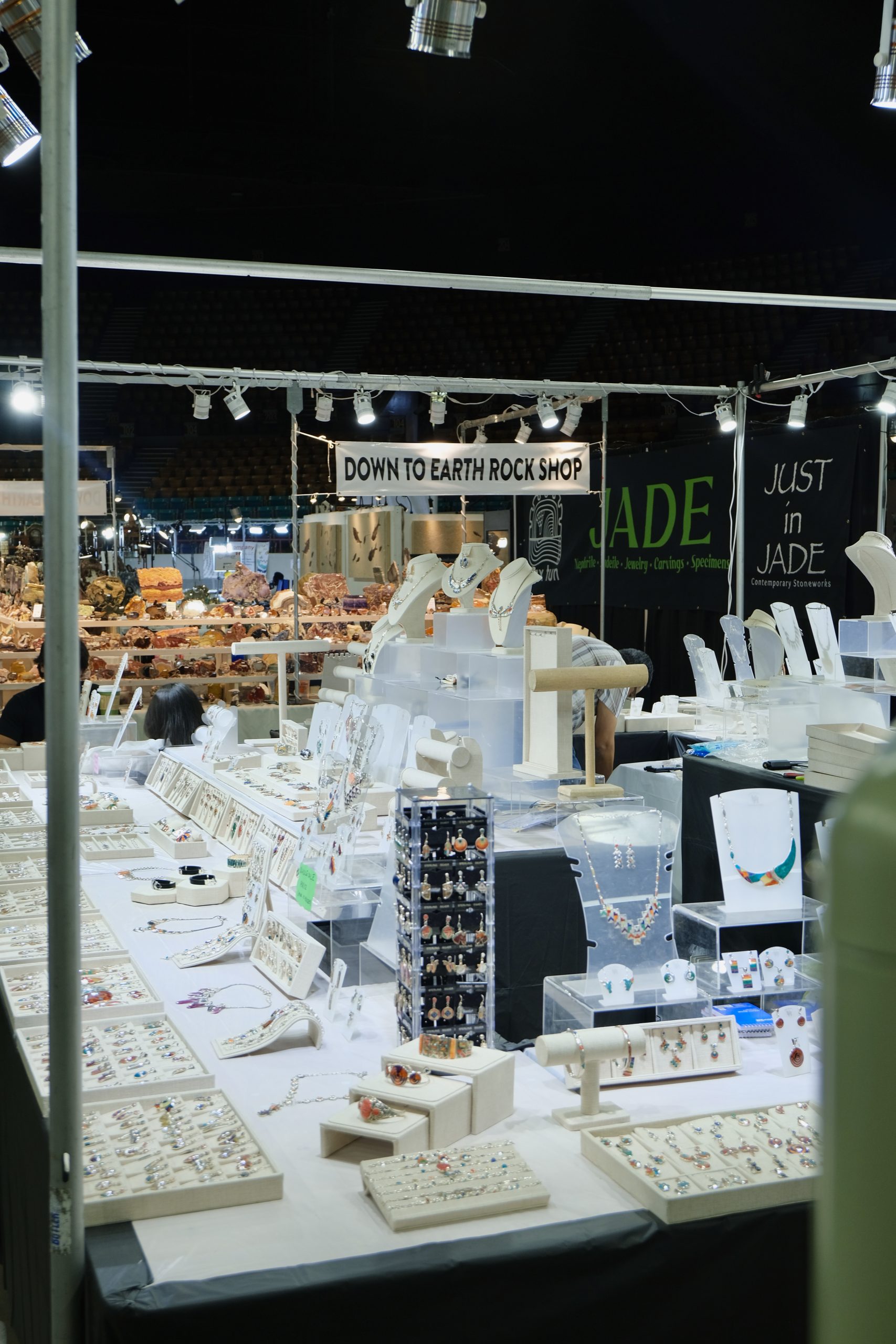 Denver coliseum minerals fossils jewelry gems show