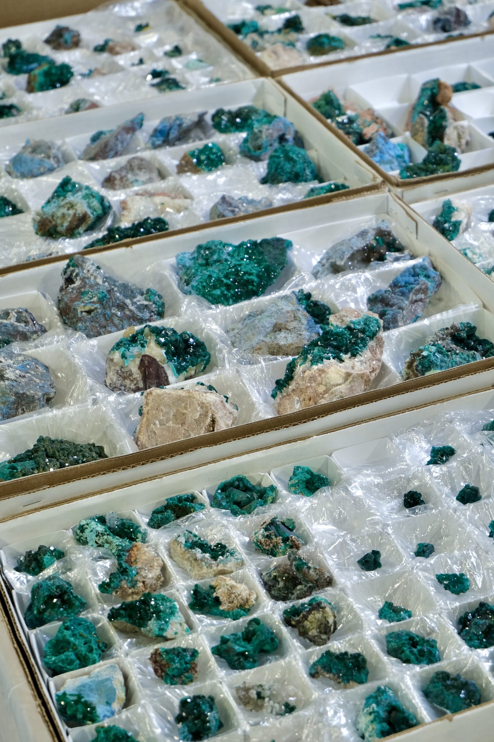 Denver coliseum minerals fossils jewelry gems show