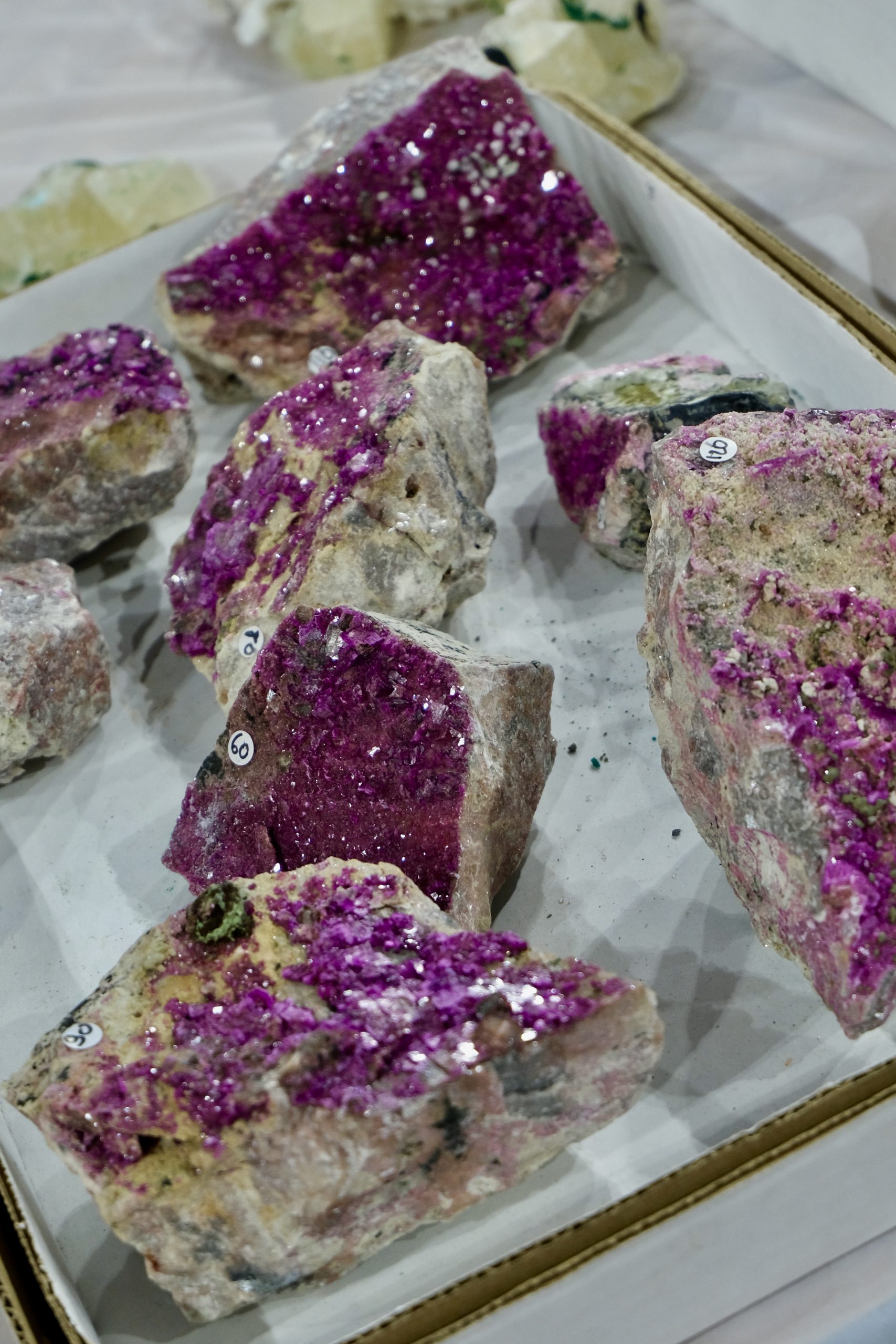 Denver coliseum minerals fossils jewelry gems show
