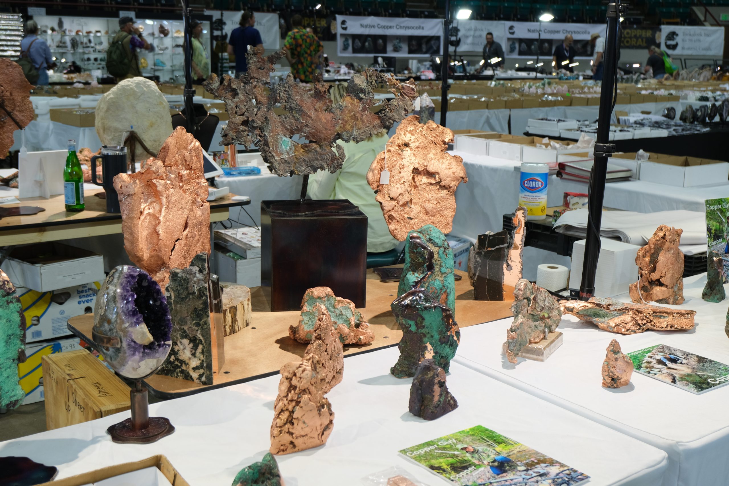 Denver coliseum minerals fossils jewelry gems show