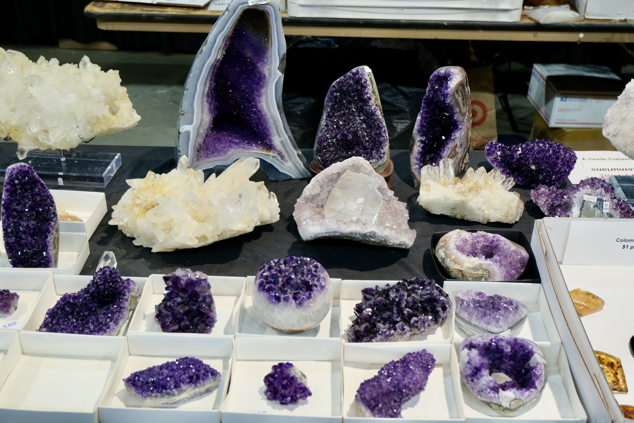 Denver coliseum minerals fossils jewelry gems show