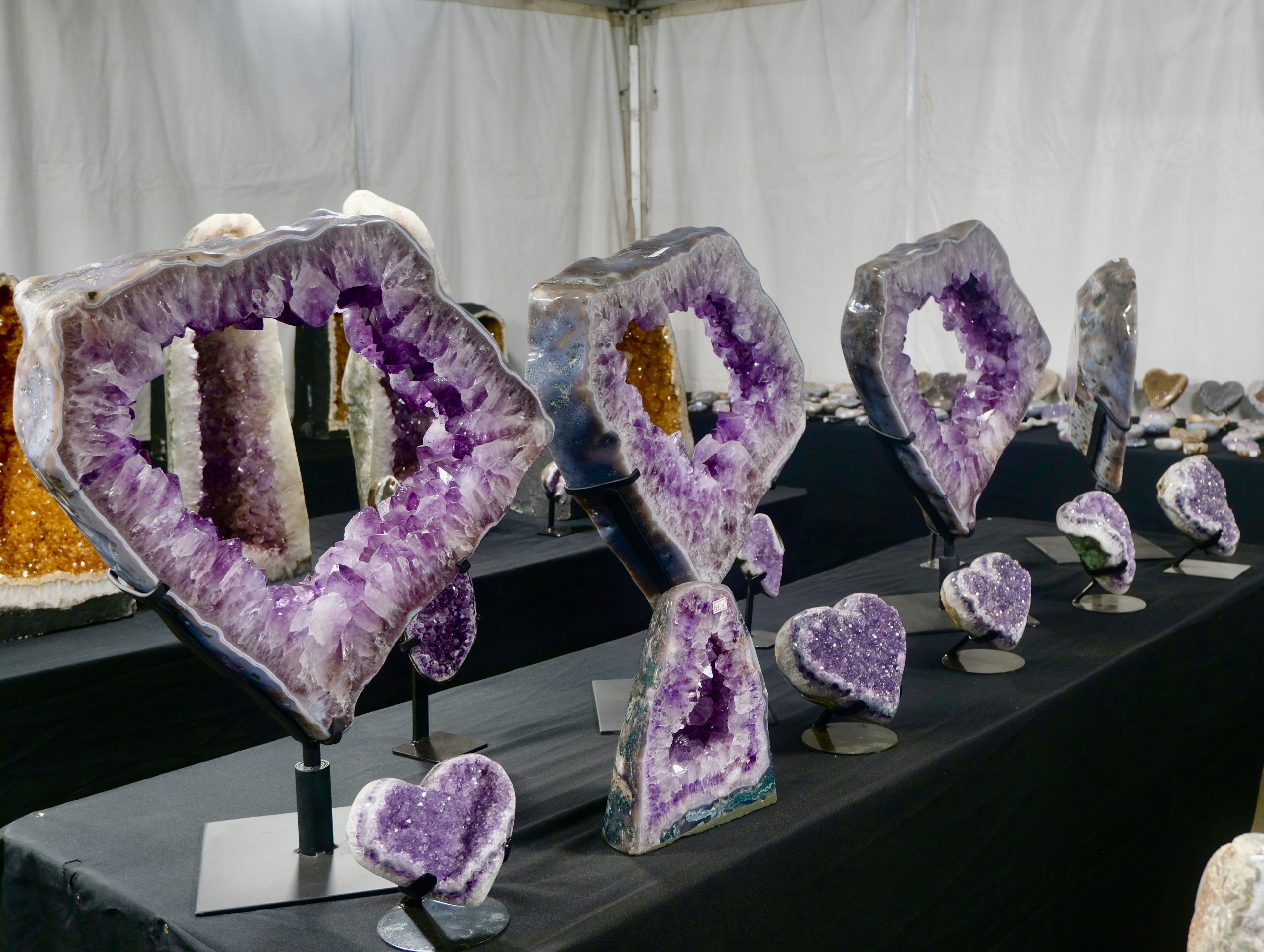 Denver coliseum minerals fossils jewelry gems show