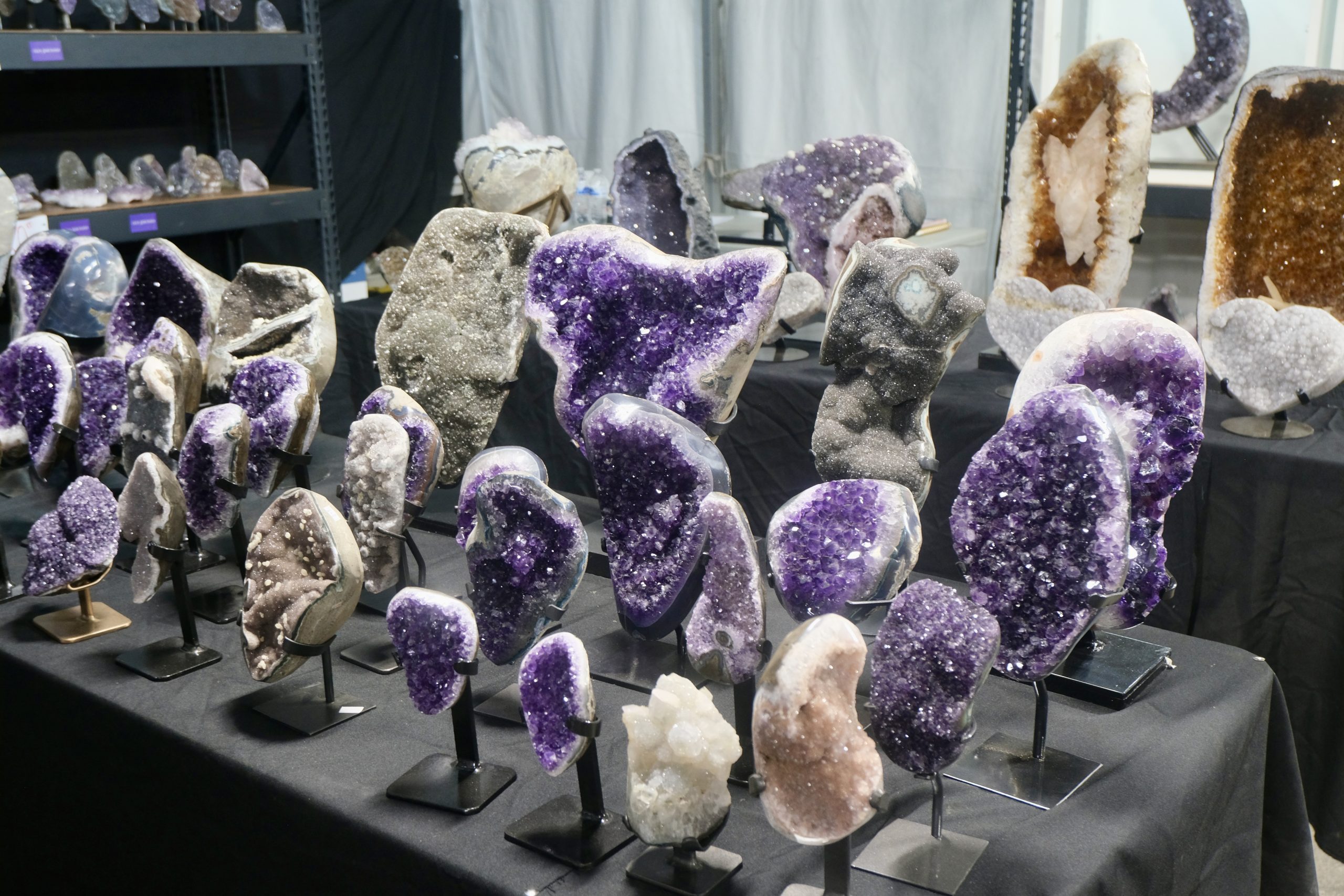 Denver coliseum minerals fossils jewelry gems show