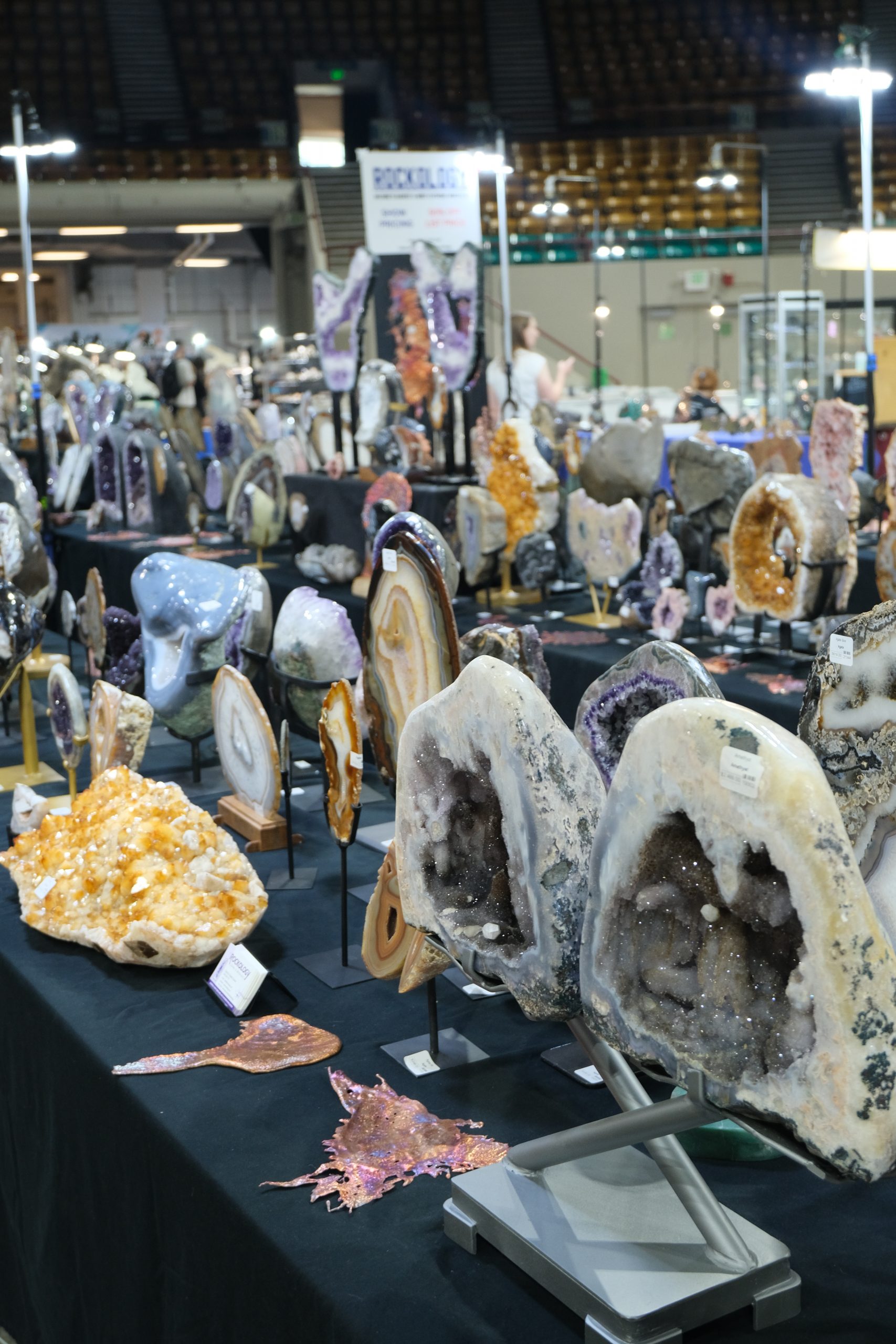 Denver coliseum minerals fossils jewelry gems show
