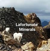 lafortunate minerals