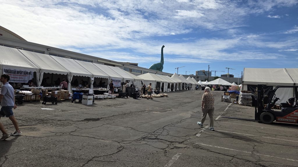 Denver Mineral Fossil Gem Jewelry Show
