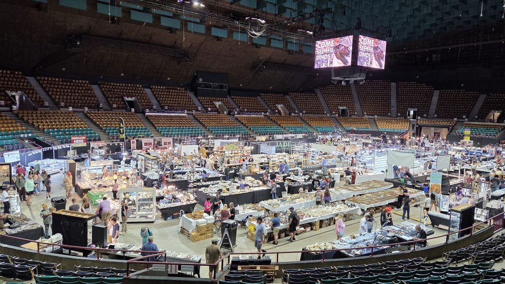 Denver Mineral Fossil Gem Jewelry Show